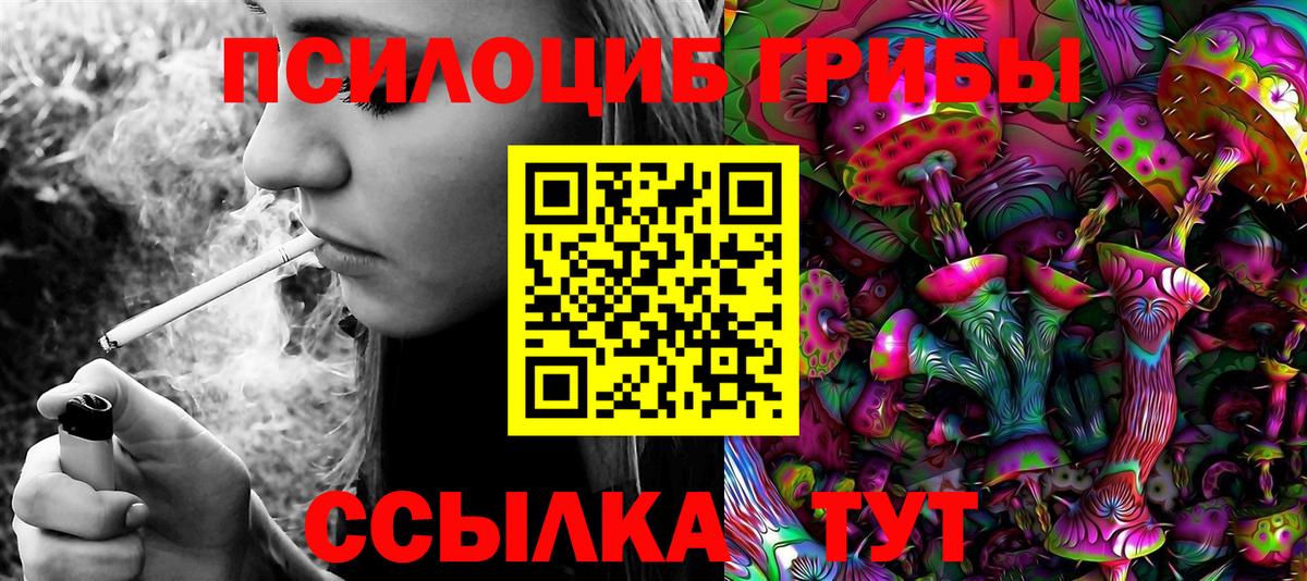 Кстово  Галлюциногенные грибы мицелий  закладки  Вход с VPN 