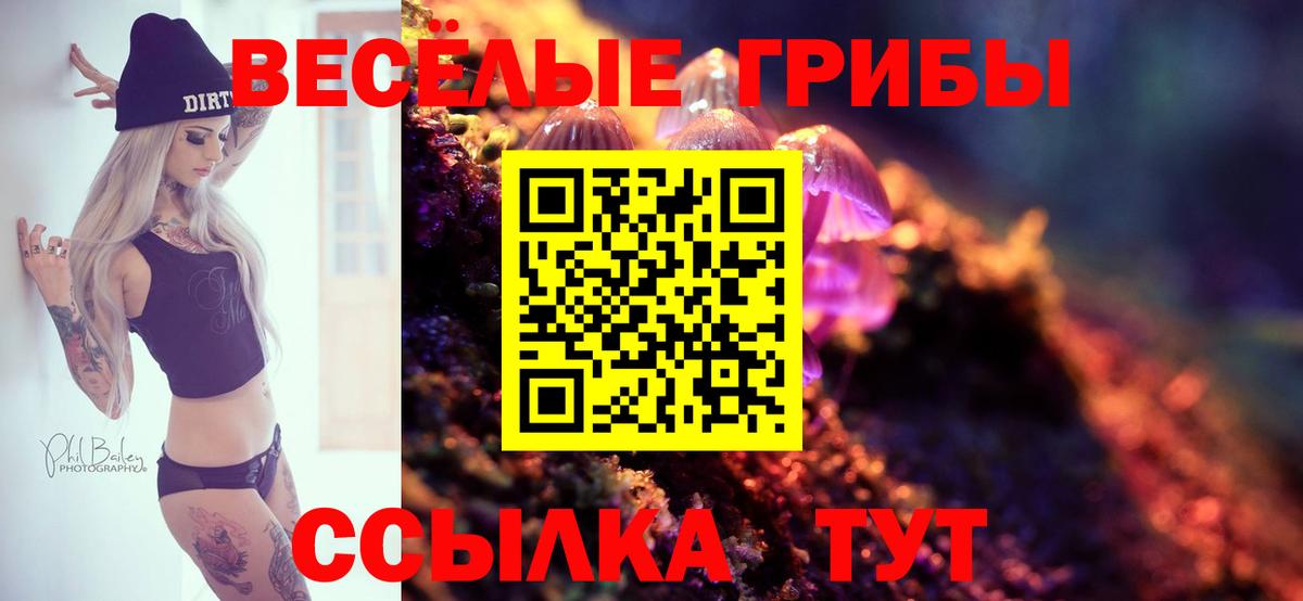 Галлюциногенные грибы Psilocybine cubensis Кстово